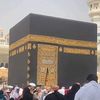 mamih.ra8
