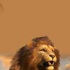 King koby