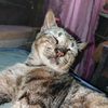 tuniyu.fami