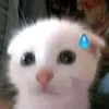 ixiajia