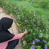 _dhilah2510