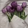 lina_e83