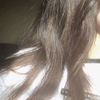 picci6184