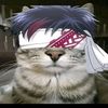 iori16799