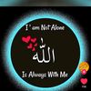 muhammad.abbas8131