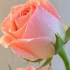 user9211848477170