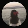 mimi_kat2