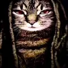 rex_13368