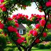 nur.abdiqadir
