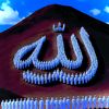 user35319678566112