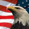 American Warrior Calling
