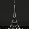 yaraalahmad84