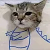 guest.test