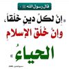 user62245387438031