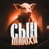 sin_shalavi_228