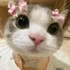 user353807037