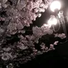 lizikss700