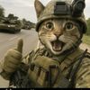 furbaby282