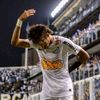pes_aep123