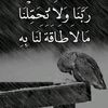 user5512216366110