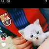 user72042700681171