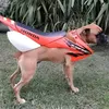 flash.pohalnax