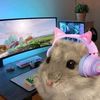 Ожившие мемы