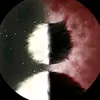 rasoharki0