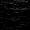 omar_2010l