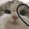 mimi.n_