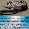 user82448884390041