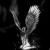 sorrow_blooms
