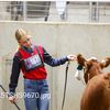 prddd..loves.cows