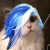norian.marko7