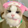 ngengg55