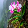 khin.lay1396