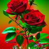 ashika.mgr12