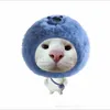 nhinloncai5