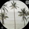 maram.111555