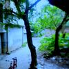 .aksh.yt