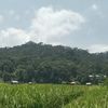 bujang_067