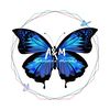 aphrodite.morpho