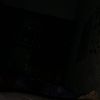 davin.12344