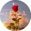 zahra.ibrahim39