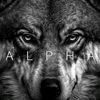 a.l.p.h.a._1_