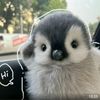 ivannazzx0
