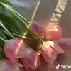 user44846621290266