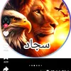 user49172584076592