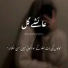 navels.ki.diwani