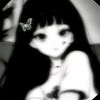 habibu.shifu